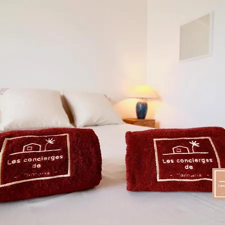 Apartment Le Grand Charles, Climatise *